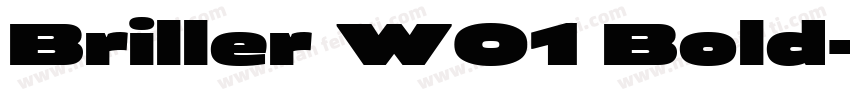 Briller W01 Bold字体转换